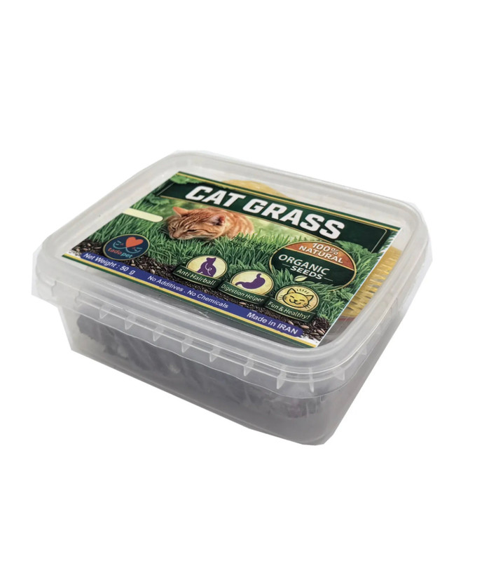 علف گربه تادو - Cat Grass