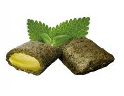 تشویقی مغزدار نوتری گربه جیم کت با طعم کت نیپ وزن ۶۰ گرم